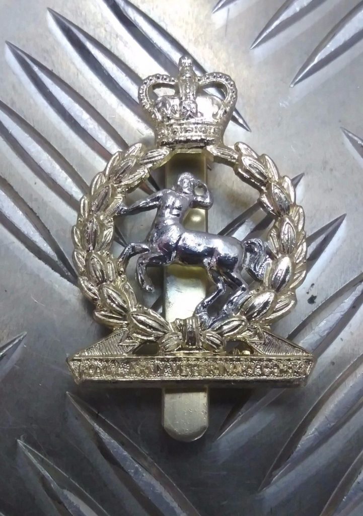 Genuine British Army Military Metal / Staybrite Regimental Issue Hat Badges