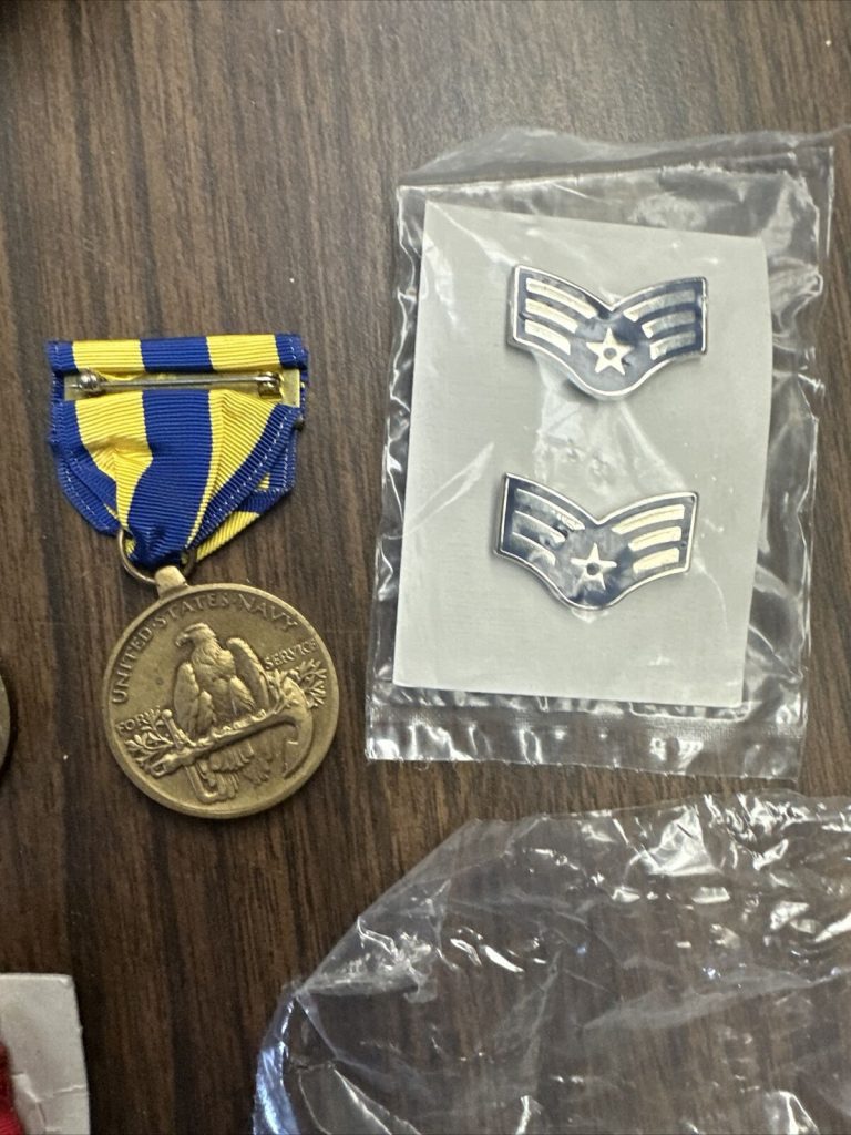 Lot 10 Various Military Pins Medals Awards Army Navy Air Force Marines